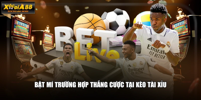 Bật mí trường hợp thắng cược tại kèo Tài Xỉu
