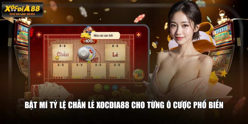 Bật mí tỷ lệ chẵn lẻ XOCDIA88 cho từng ô cược phổ biến