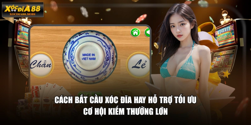 Cách bắt cầu Xóc Đĩa hay hỗ trợ tối ưu cơ hội kiếm thưởng lớn