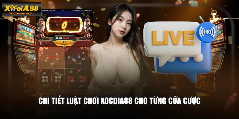 Chi tiết luật chơi XOCDIA88 cho từng cửa cược
