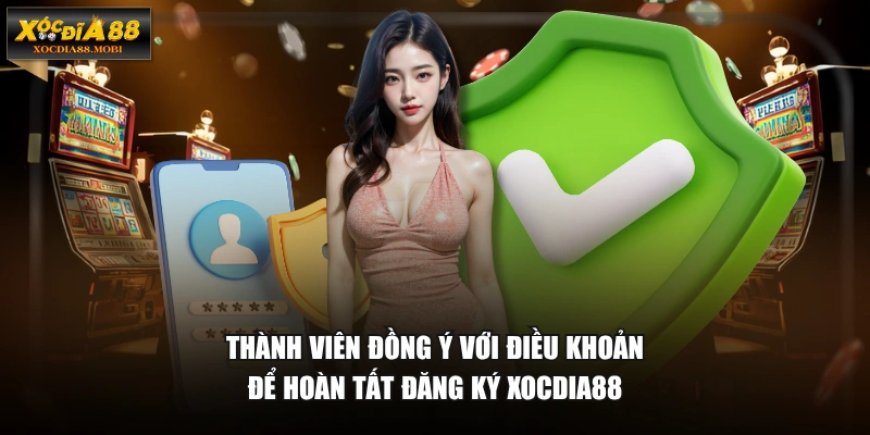 Thành viên đồng ý với điều khoản để hoàn tất đăng ký XOCDIA88