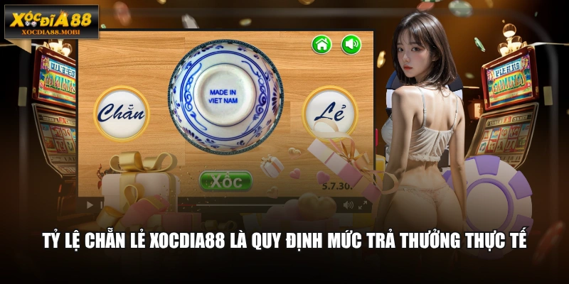 Tỷ lệ chẵn lẻ XOCDIA88 là quy định mức trả thưởng thực tế